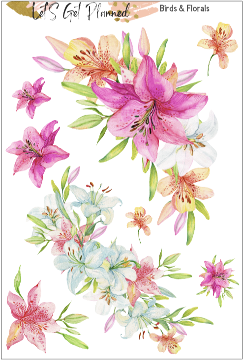 Birds & Florals 3-pg Kit